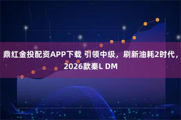 鼎红金投配资APP下载 引领中级，刷新油耗2时代，2026款秦L DM